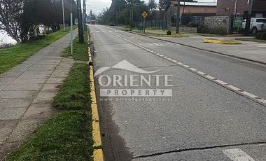 VALDIVIA, SECTOR COLLICO