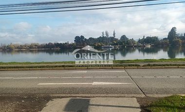 VALDIVIA, SECTOR COLLICO