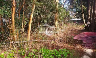 VALDIVIA, SECTOR COLLICO