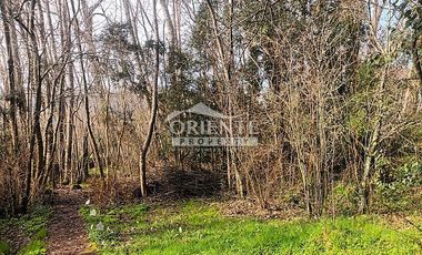 VALDIVIA, SECTOR COLLICO