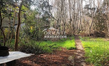 VALDIVIA, SECTOR COLLICO