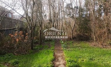 VALDIVIA, SECTOR COLLICO