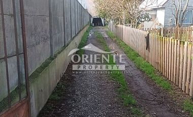 VALDIVIA, SECTOR COLLICO