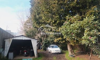 VALDIVIA, SECTOR COLLICO