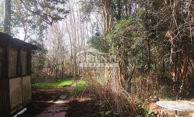 VALDIVIA, SECTOR COLLICO