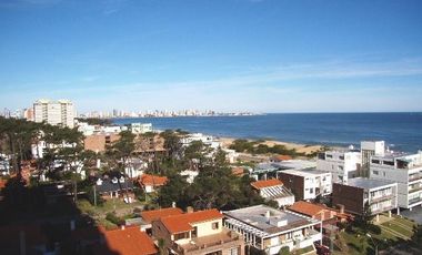 Departamento - Martinez