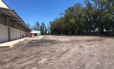 Depósito en  Alquiler en Zárate