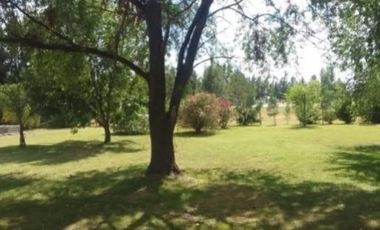 Casa en alquiler - 5 Dormitorios 5 Baños - Chascomus