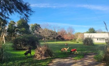 Quinta en venta - 2 Dormitorios 1 Baño - 10.000Mts2 - Lobos