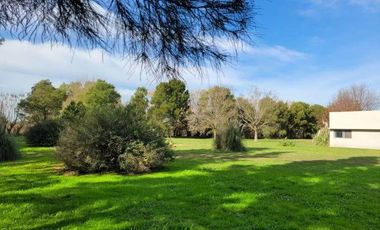 Quinta en venta - 2 Dormitorios 1 Baño - 10.000Mts2 - Lobos