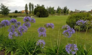 Terreno en venta - 800Mts2 - Cruz del Sur, San Vicente