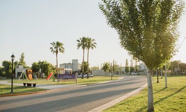 Terreno venta barrio los viñedos soldini