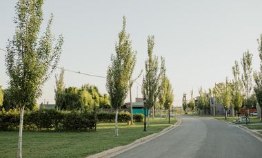 Terreno venta barrio los viñedos soldini