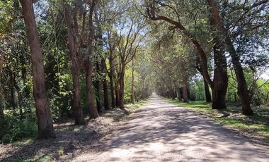 Casa - Venta - Barrio La Arbolada de Capilla - Exaltación de la Cruz