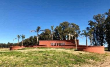 Terreno en venta - 1000Mts2 - Tres Pinos, General Rodriguez