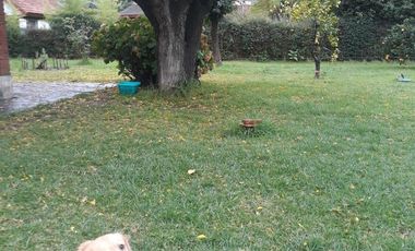 Casa en venta - 1 Dormitorio 1 Baño - 2015Mts2 - Tortuguitas, Malvinas Argentinas