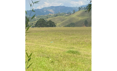 Venta Lote area metropolitana  diferentes usos- Caldas-