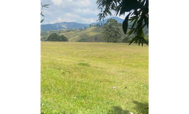 Venta Lote area metropolitana  diferentes usos- Caldas-