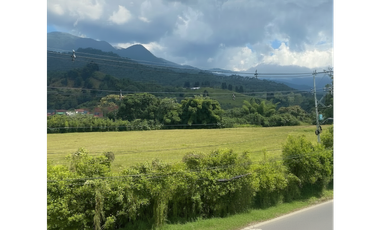 Venta Lote area metropolitana  diferentes usos- Caldas-