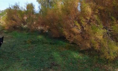 Terreno en venta - 1875Mts2 - Miramar