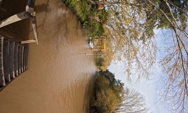 Isla con Cabaña en Venta | Delta - Tigre | Totalmente Equipada con muelle propio