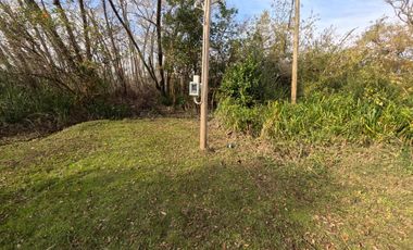 Isla con Cabaña en Venta | Delta - Tigre | Totalmente Equipada con muelle propio