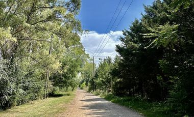 Casa quinta alquiler Canning (Ezeiza)