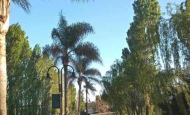 Terreno en venta - 1250mts2 - La Magdalena, Canning