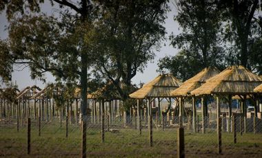Terreno en venta - 300Mts2 - General Rodriguez
