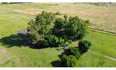 Campo de 5 Has sobre ruta en Ranchos