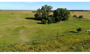 Campo de 5 Has sobre ruta en Ranchos