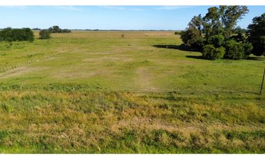 Campo de 5 Has sobre ruta en Ranchos