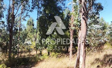 Parcela en venta en QUILLÓN