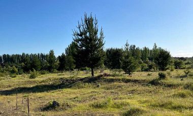 Parcela en venta en YUNGAY