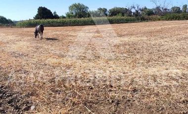 Parcela en venta en BULNES