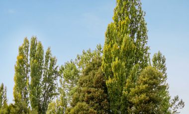 Parcela en venta en CONCEPCIÓN