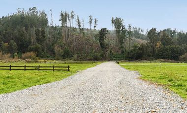 Parcela en venta en CONCEPCIÓN