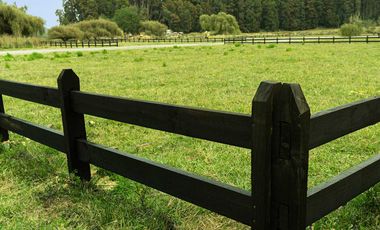 Parcela en venta en CONCEPCIÓN