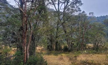 Sitio en Venta en puelo