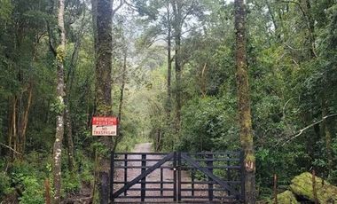 Sitio en Venta en puelo