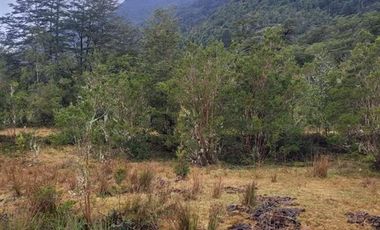 Sitio en Venta en puelo