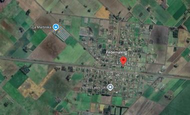 Casa en venta - 10 Dormitorios 3 Baños 2 Cocheras- 1356Mts2 - Pedernales