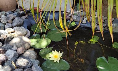 PH en venta - 3 Dormitorios 2 Baños - 181Mts2 - Quilmes