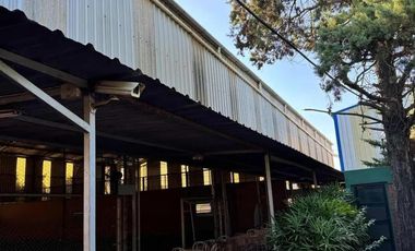 Complejo de deportivo en venta - Canchas de paddle - Florencio Varela