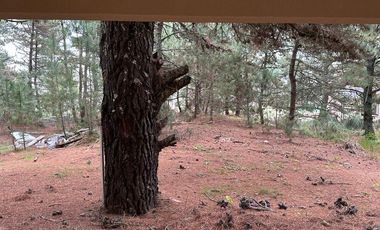 Casa en venta - 3 Dormitorios 3 Baños - 675Mts2 - Costa del Este