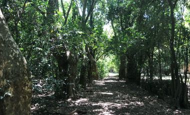 Campo en alquiler - 14 Dormitorios 4 Baños - 50.000Mts2 - Tristán Suarez