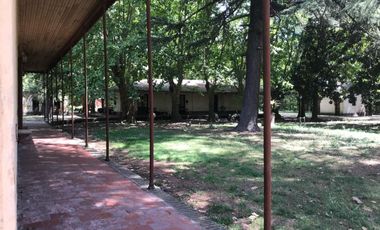 Campo en alquiler - 14 Dormitorios 4 Baños - 50.000Mts2 - Tristán Suarez