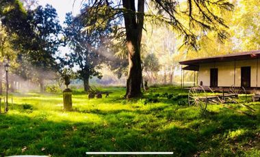 Campo en alquiler - 14 Dormitorios 4 Baños - 50.000Mts2 - Tristán Suarez