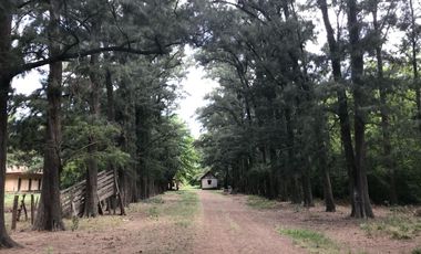 Campo en alquiler - 14 Dormitorios 4 Baños - 50.000Mts2 - Tristán Suarez