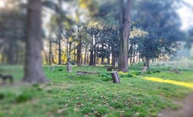 Campo en alquiler - 14 Dormitorios 4 Baños - 50.000Mts2 - Tristán Suarez